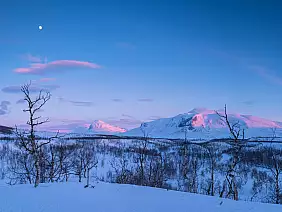 arctic,landscape,with,the,mountains,nijak,and,gisuris,in,the