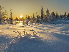 lapponia svedese_2200805991