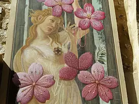 3 - fiori di ciliegio