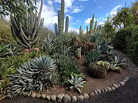 20_anima_garden_andr_heller