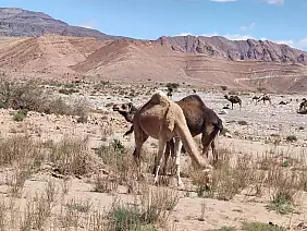 5_strada_verso_ait_mansour