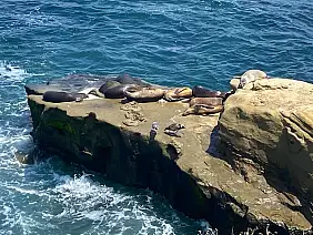 e8db71a8_1fe3_4cdb_9542_a77de83b4dd4_1_