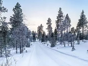 veskoniemi_2212730659