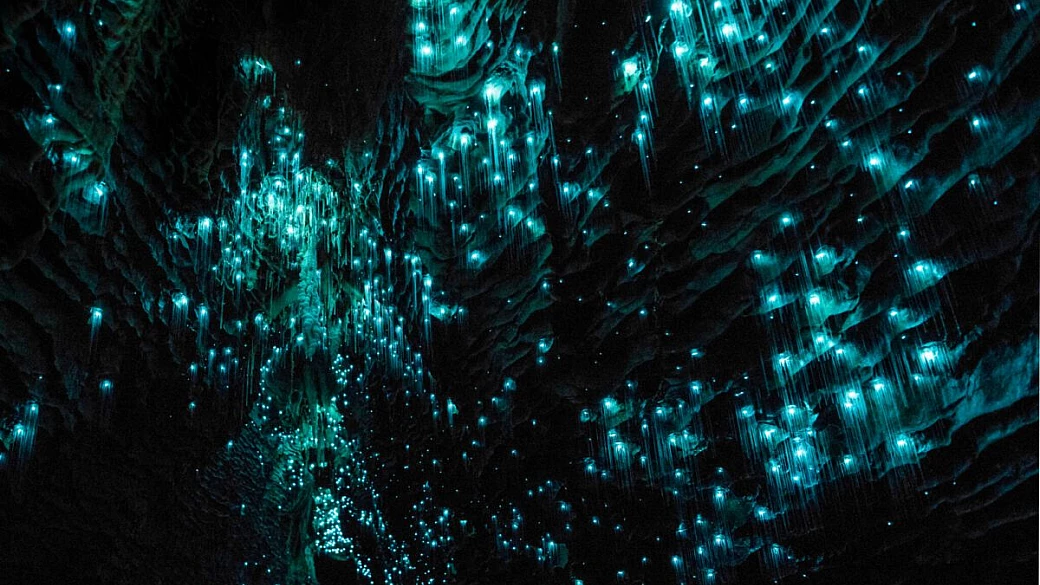 in questa grotta avviene un curioso fenomeno naturale: ecco come la natura rischiara la notte con la bioluminescenza
