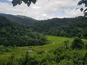 0941f1f2_d1ca_4755_be58_975d86c3f02b_85bf7715_62bf_4278_8570_8f46702d59a8