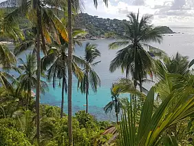 0c1972e9_fa74_4540_b2af_7c78f13b0cb2_8dc8a774_ca70_458a_bc6c_81a1158ad4ad