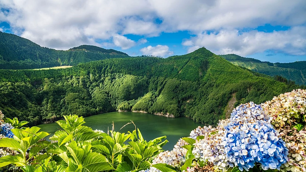 delle ortensie e degli sparvieri: l'isola incontaminata sull'atlantico è l'angolo più puro del vecchio continente