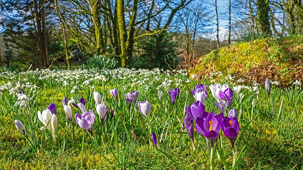 14 grandi giardini italiani da scoprire a primavera