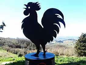 6 - il gallo nero simbolo del chianti