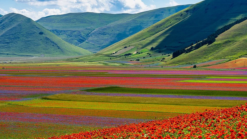 fioritura di castelluccio di norcia 2026: quando e come andare