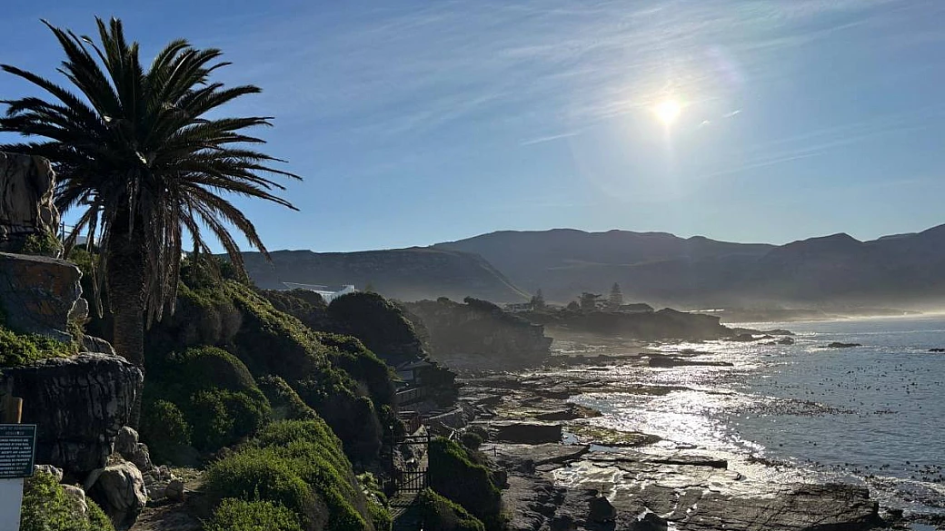 oceano, savana e stelle: un viaggio tra le meraviglie del sudafrica per incontrare il re della savana