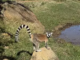 img_3083_dimensioni_medie