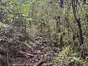 img_3289_dimensioni_medie