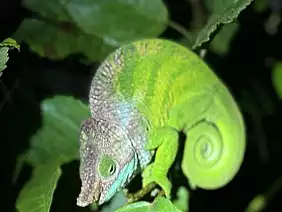 img_3399_dimensioni_medie