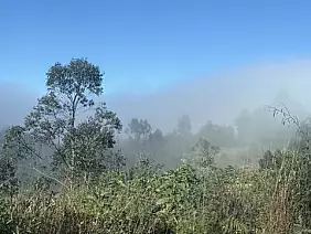 img_3415_dimensioni_medie