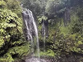 img_3591_dimensioni_medie