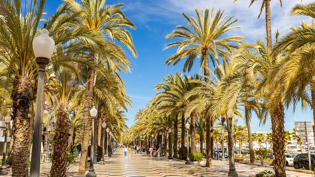 4 giorni ad alicante: un'avventura spontanea tra sole, cultura e qualche imprevisto