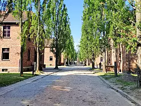 019_auschwitz_8_