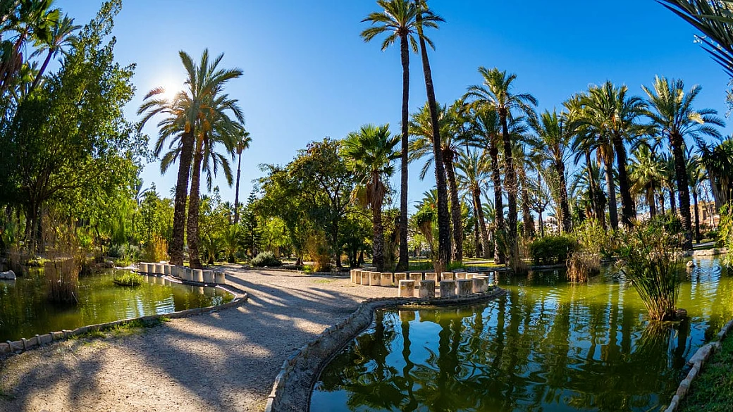 in spagna c’è una miami in miniatura: è la città delle 300 mila palme