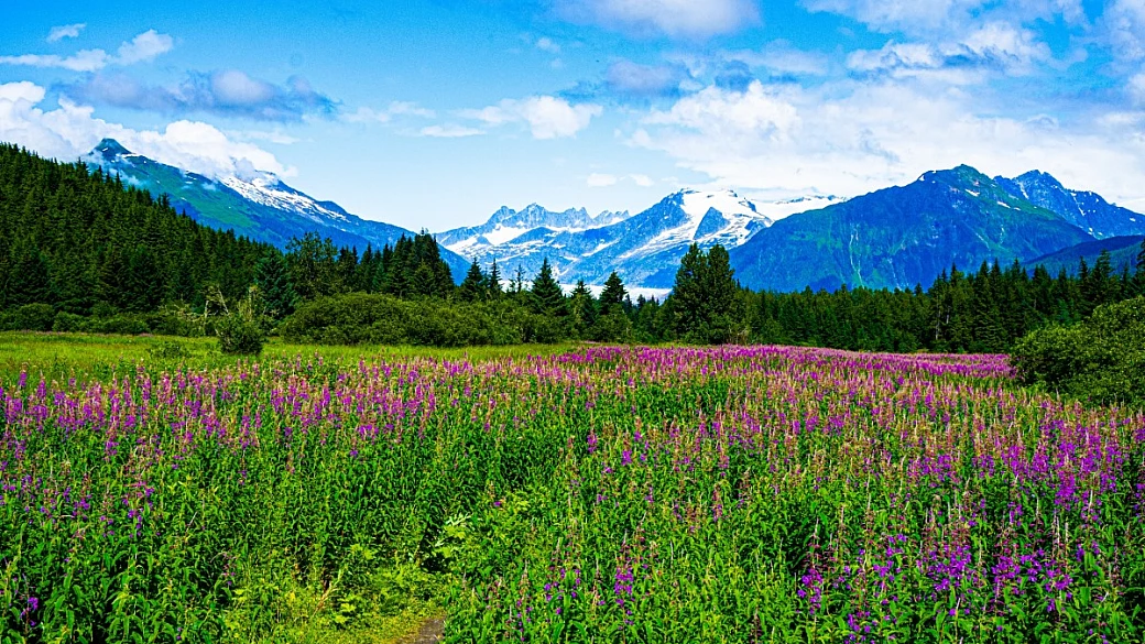 da anchorage alle montagne più selvagge d'america: viaggio in alaska, the 49th state