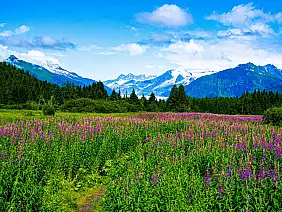 alaska_2501506535_1200x798