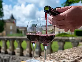 bordeaux_2492240679_1199x798