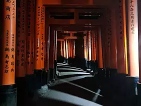 20250404_193317_ridimensiona