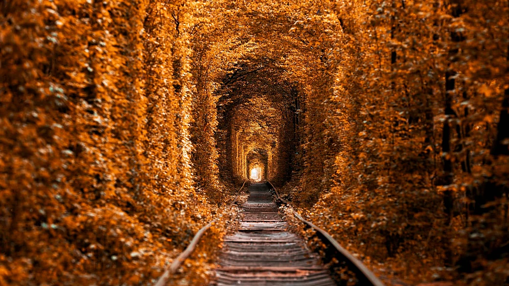 dalla foresta nera alle alpi, sono loro i 5 viaggi in treno da fare in autunno in europa: foliage e panorami garantiti!