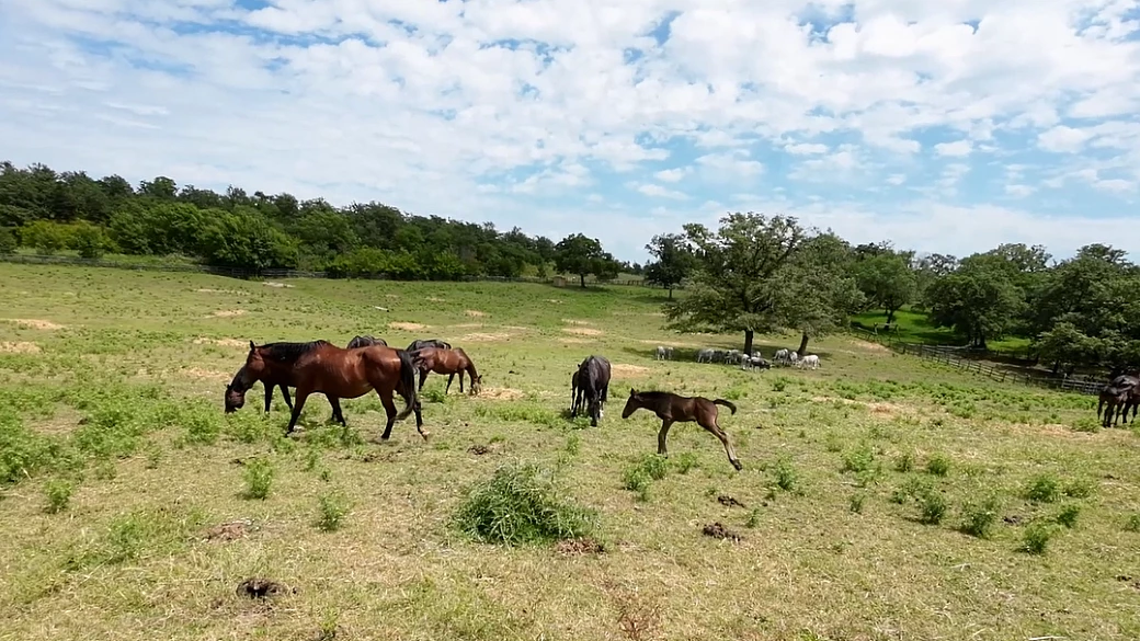 tg del turismo: notizie da nuova zelanda, romania, alto lazio, cremona