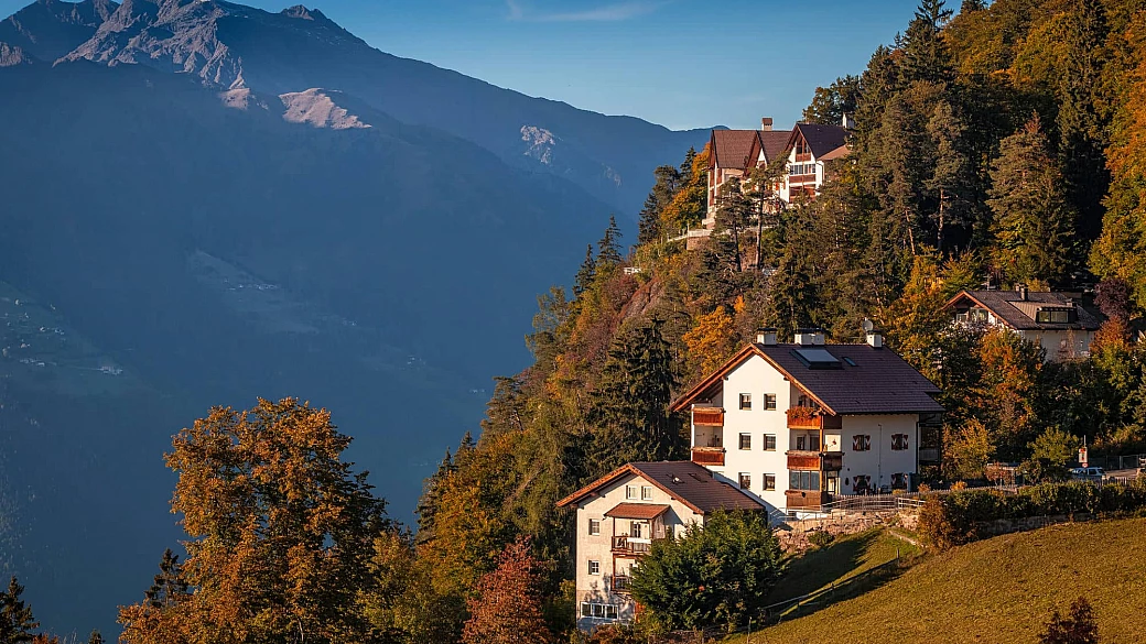 se hai sempre sognato di dormire in una casa sull'albero, in alto adige c'è il posto che fa al caso tuo