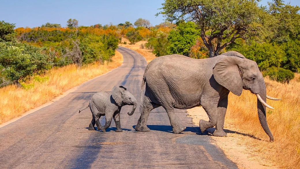 due settimane e 4000 chilometri di voli interni: il paese arcobaleno si scopre all'insegna dell'avventura