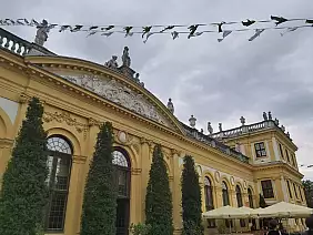 img_20251002_wa0000_1_