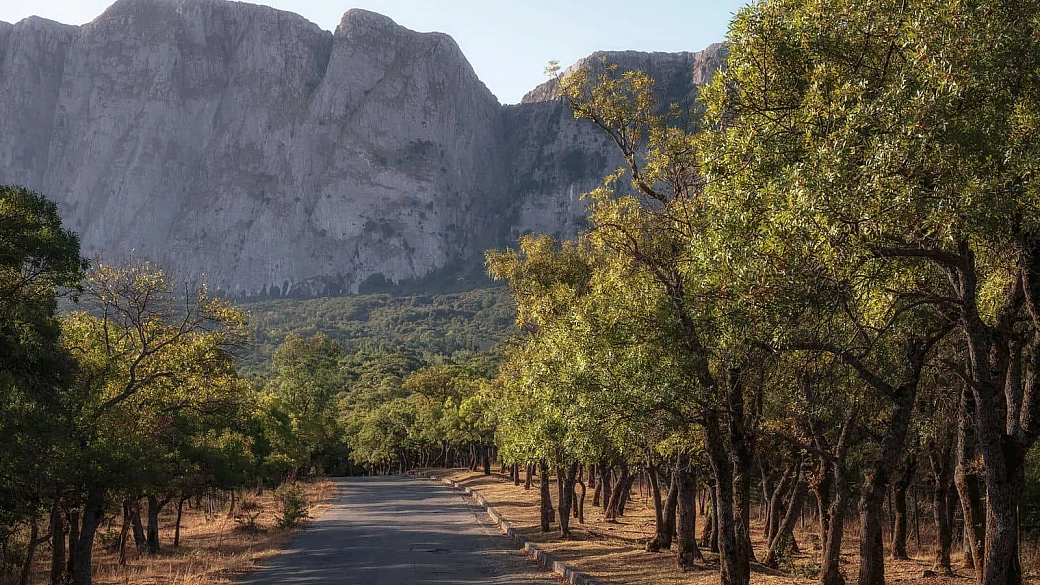 in questo parco c'è l'80% di tutti gli animali della sicilia: è il vero polmone verde da scoprire sull'isola