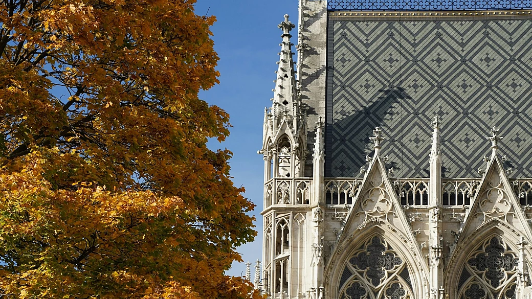 vienna: una visita d’autunno alternativa, tra pasticcerie, architetture visionarie e cimiteri