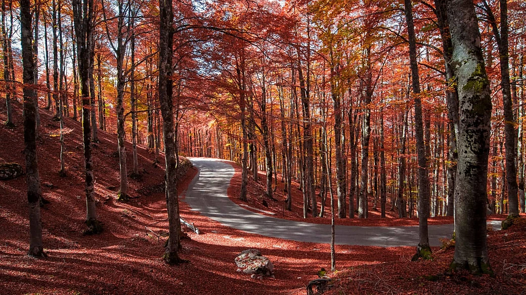 1000 colori, una sola strada: la serpentina dell'appennino è il percorso di montagna più bello d'italia