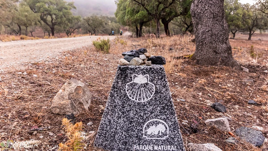 se ti è piaciuto il cammino di santiago, questo percorso lungo 1000 chilometri sarà la tua prossima meta di viaggio