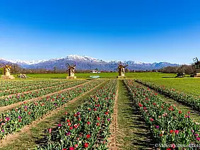 487341841_10221849763353477_1031917233621947710_n