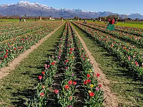 487379974_10221849768473605_6618167952192719935_n