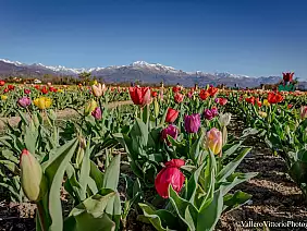 487413914_10221849762513456_2858512497290300965_n