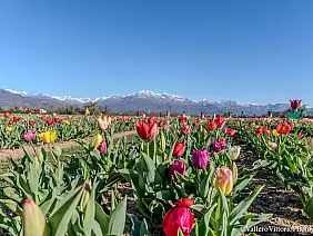 487671721_10221849769033619_7860798436018909954_n