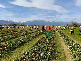 489689417_122125294370756922_3441445338374938387_n