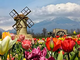 490096359_122128945064756922_8653082615529843572_n