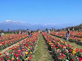 490203876_122125294274756922_5072572393160538962_n