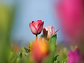 490381442_122126396426756922_3748380108043509741_n