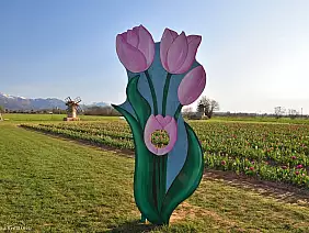 503820087_4230454677237660_1179257180303487029_n