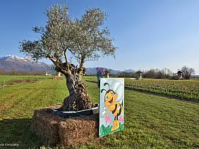 503973284_4230455300570931_5223048345247932952_n