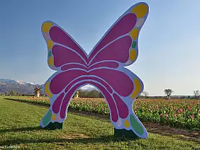 503977493_4230454627237665_6073682428711391426_n