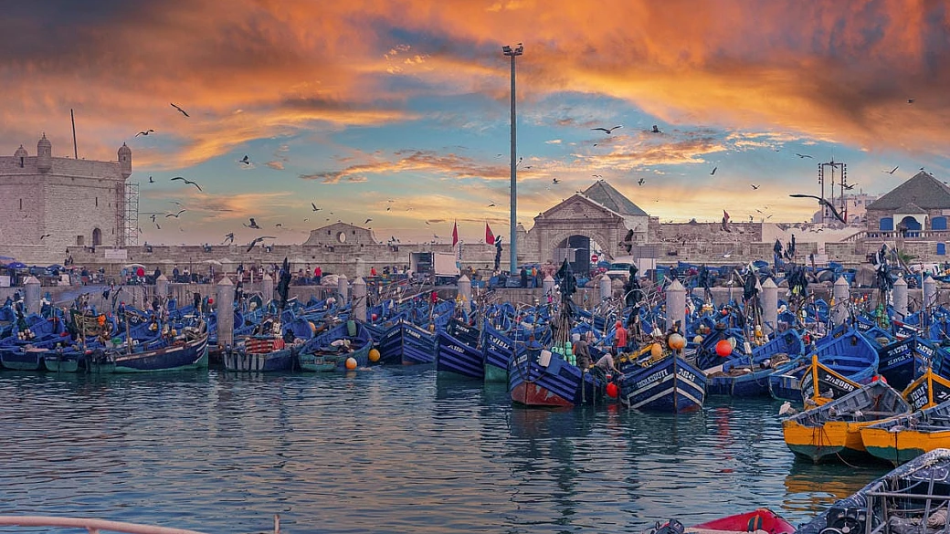 migliaia di barchette blu affacciate sull'oceano: la pittoresca 'città del vento' è la meta più affascinante di tutto il marocco