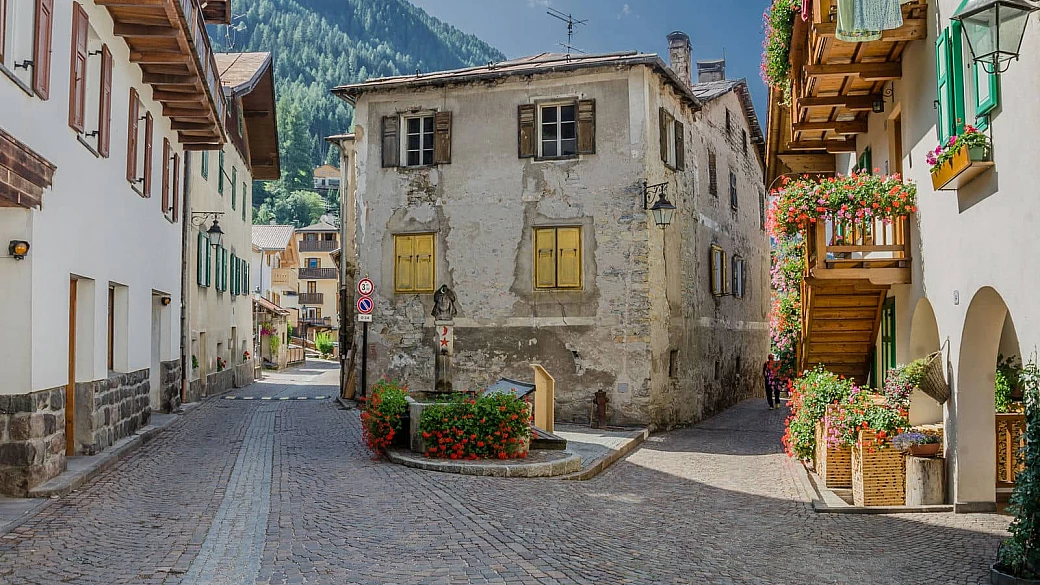 puzzone di moena dop, il formaggio più originale delle dolomiti