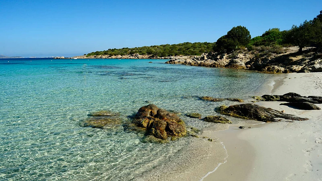 le spiagge più belle dell'asinara: cala sabina, cala sant'andrea e altri luoghi da non perdere